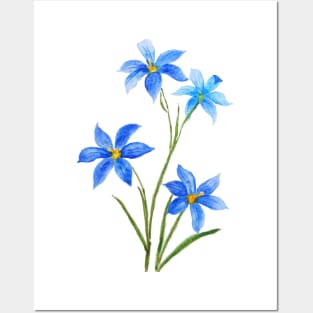 dotted blue eyes grass flower watercolor Posters and Art